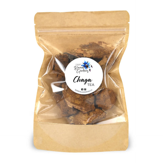 Chaga Tea