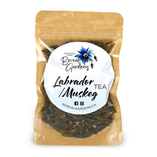 Labrador/Muskeg Tea
